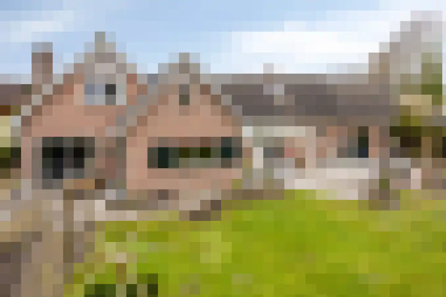 Eksterhof 33 Varsseveld thumbnail 56