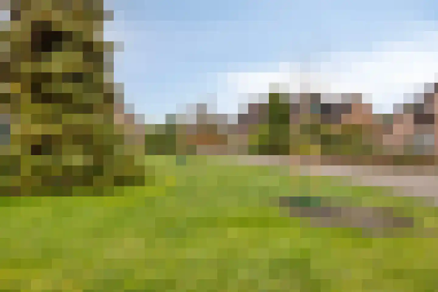 Eksterhof 33 Varsseveld thumbnail 57