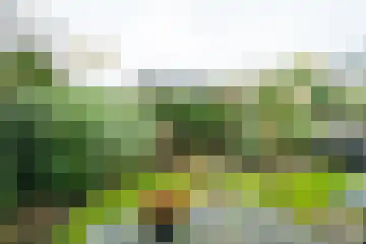 Eksterhof 43 Varsseveld thumbnail 53