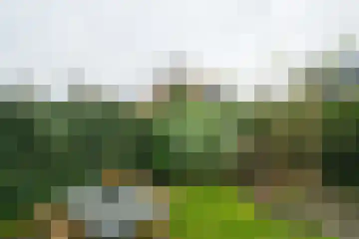 Eksterhof 43 Varsseveld thumbnail 54