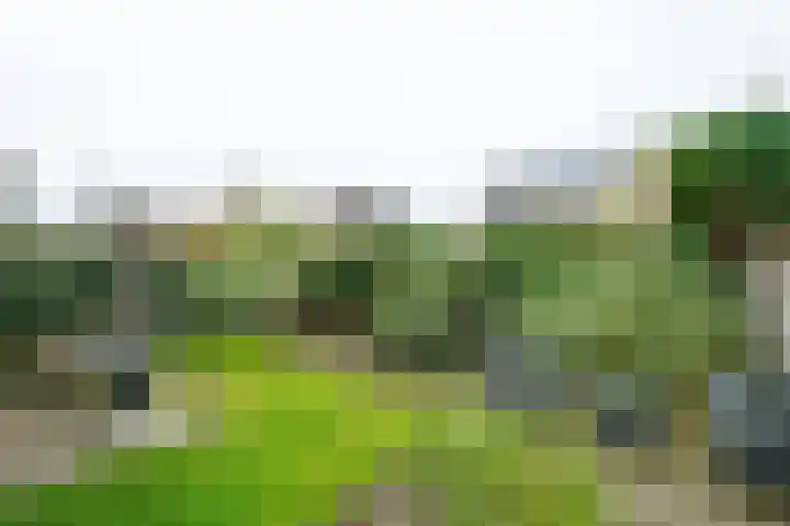 Eksterhof 43 Varsseveld thumbnail 55