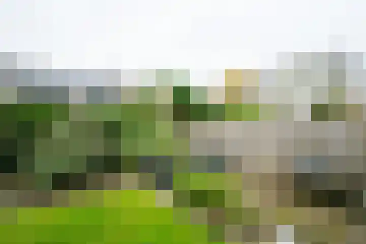 Eksterhof 43 Varsseveld thumbnail 56