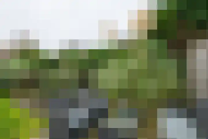 Eksterhof 43 Varsseveld thumbnail 57