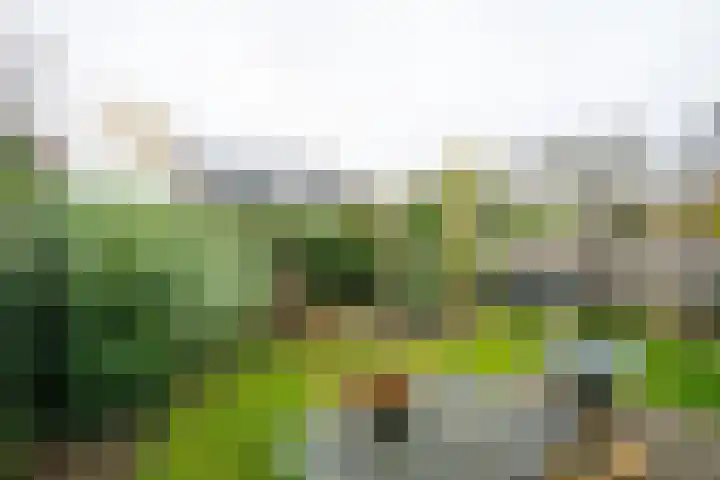 Eksterhof 43 Varsseveld thumbnail 6
