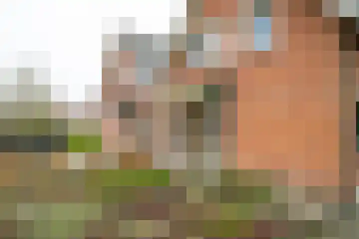 Eksterhof 43 Varsseveld thumbnail 7