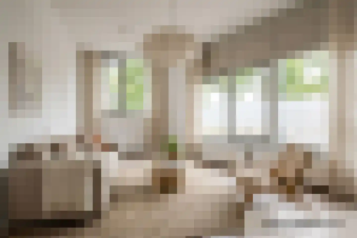 Eksterhof 47 Den Haag thumbnail 9