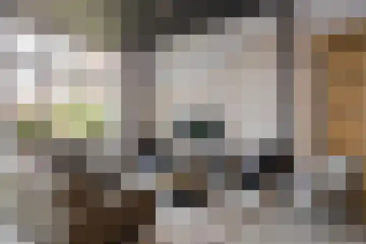 Eksterlaan 10 IJmuiden thumbnail 10