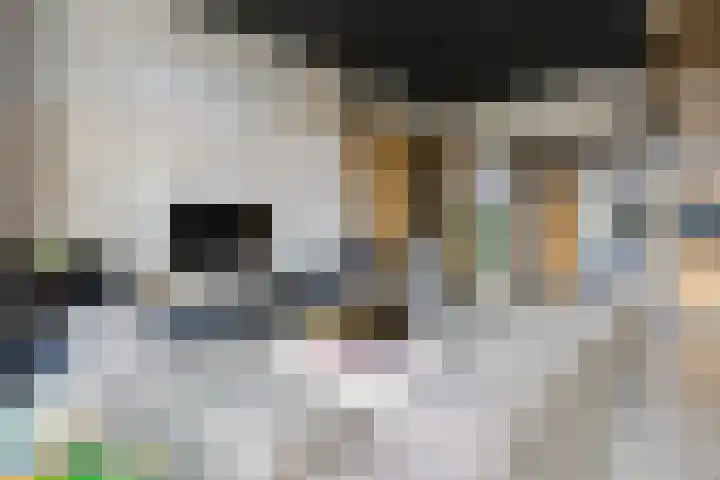 Eksterlaan 10 IJmuiden thumbnail 11