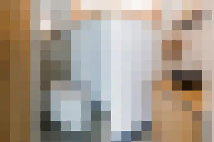 Eksterlaan 10 IJmuiden thumbnail 16