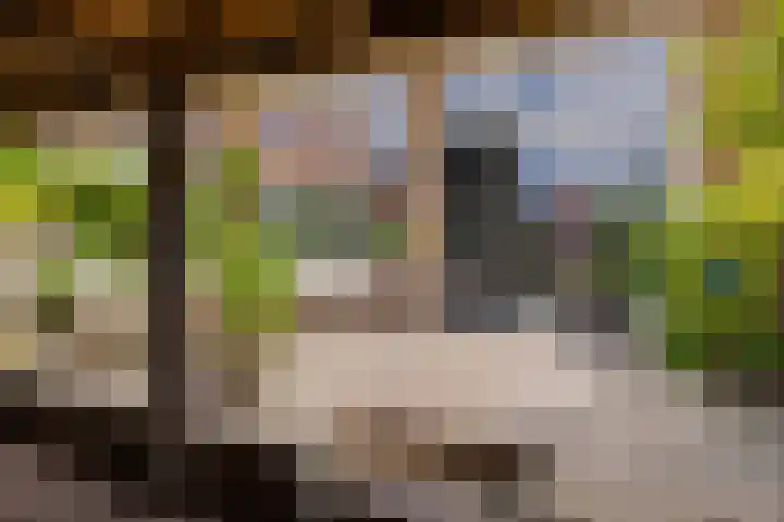 Eksterlaan 10 IJmuiden thumbnail 17