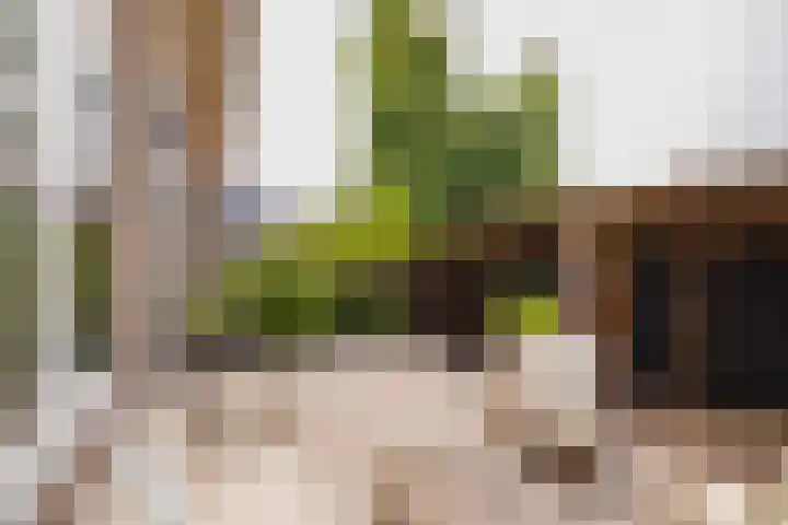 Eksterlaan 10 IJmuiden thumbnail 19