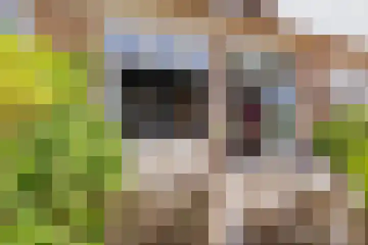Eksterlaan 10 IJmuiden thumbnail 22