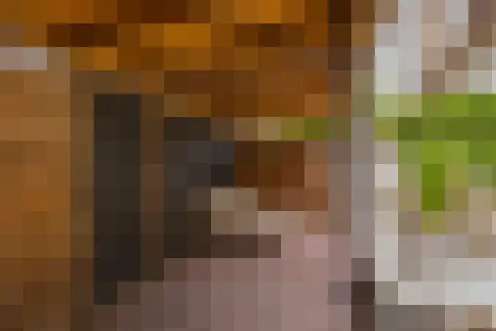 Eksterlaan 10 IJmuiden thumbnail 23