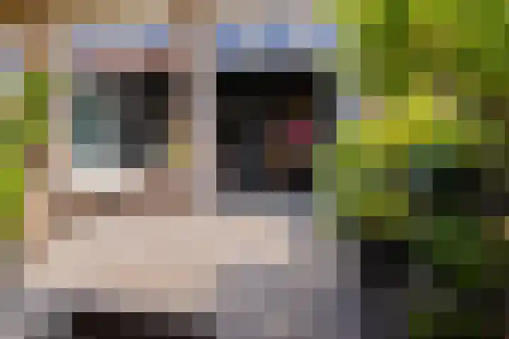 Eksterlaan 10 IJmuiden thumbnail 25