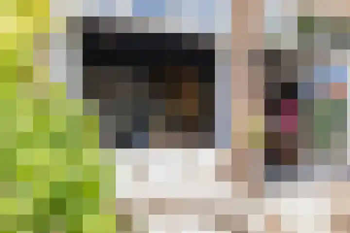 Eksterlaan 10 IJmuiden thumbnail 26