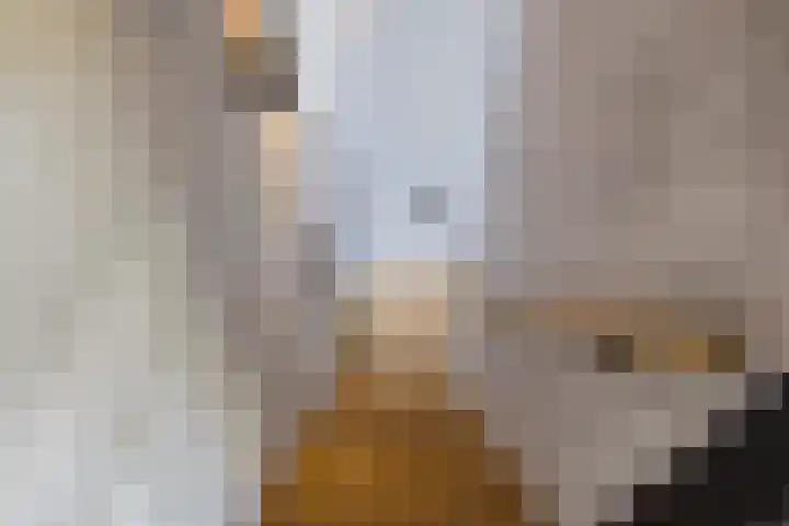 Eksterlaan 10 IJmuiden thumbnail 33