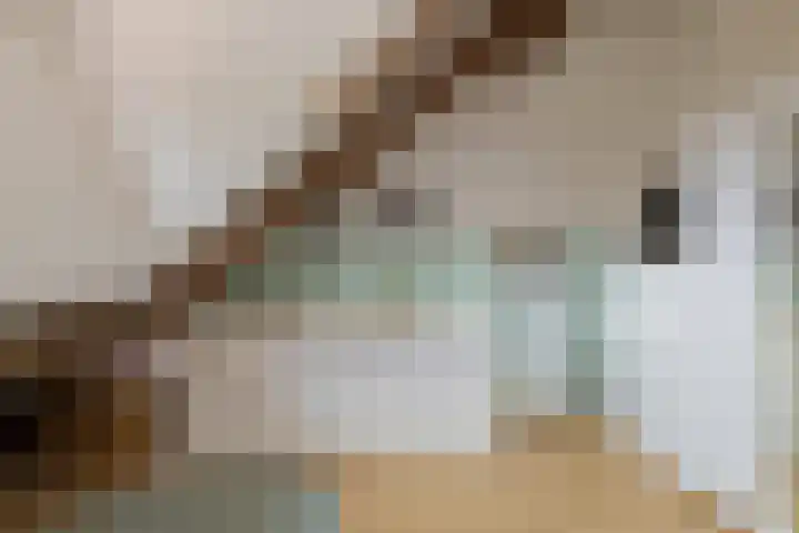 Eksterlaan 10 IJmuiden thumbnail 36