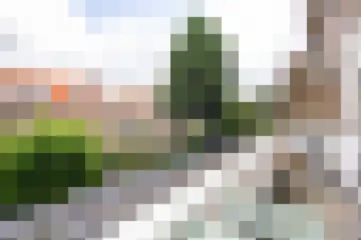 Eksterlaan 117 Haarlem thumbnail 24