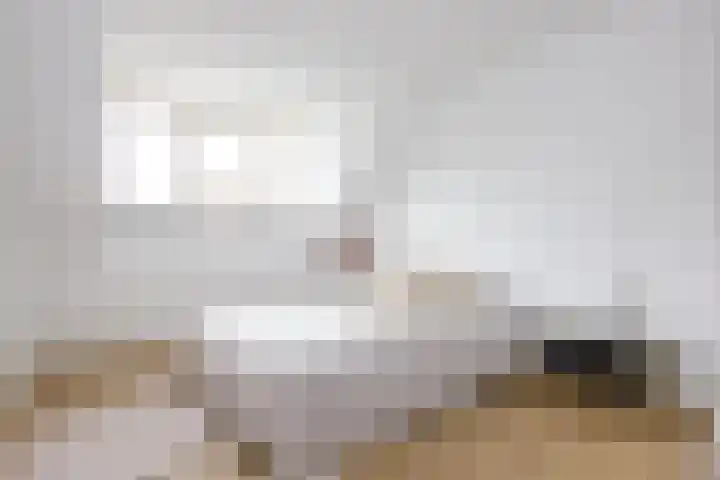 Eksterlaan 117 Haarlem thumbnail 32