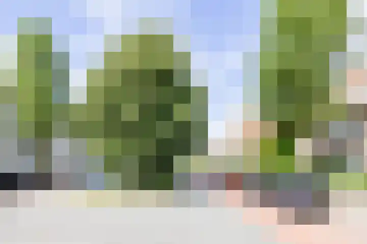 Eksterlaan 117 Haarlem thumbnail 44