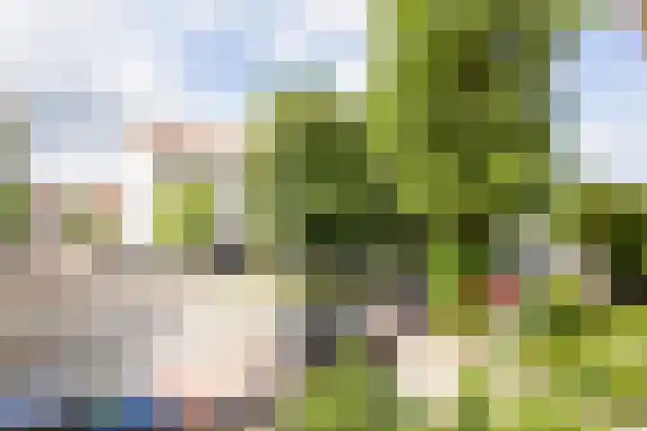 Eksterlaan 117 Haarlem thumbnail 9