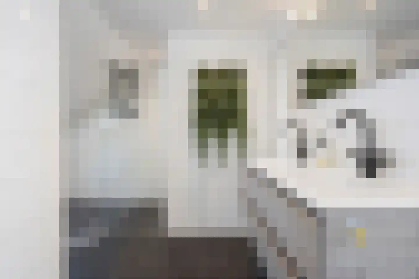 Eksterlaan 120 Haarlem thumbnail 19