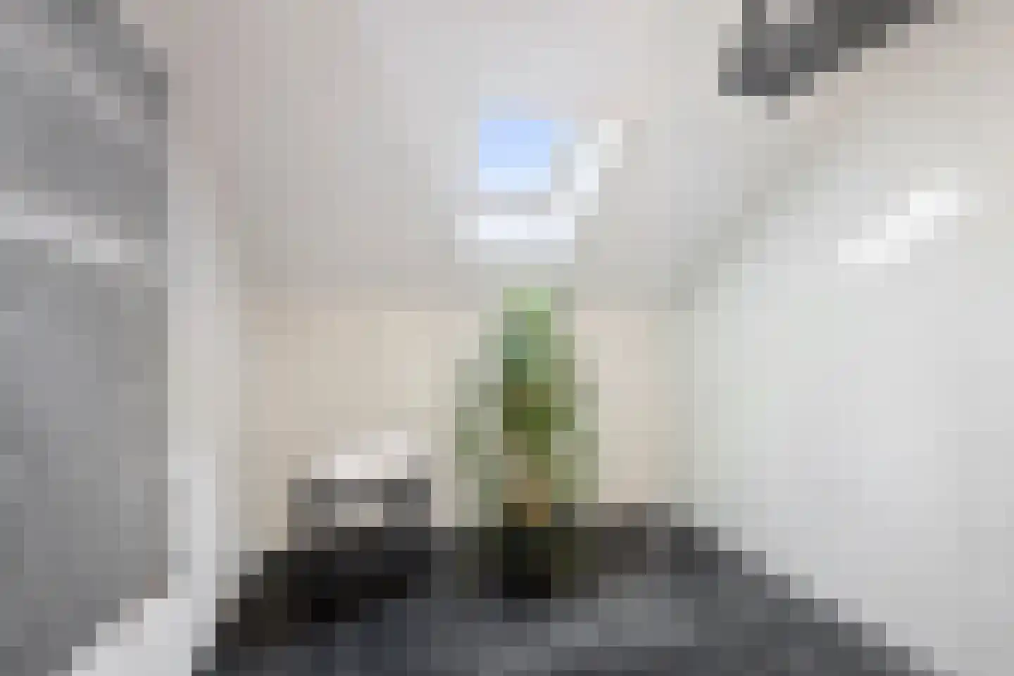 Eksterlaan 120 Haarlem thumbnail 20