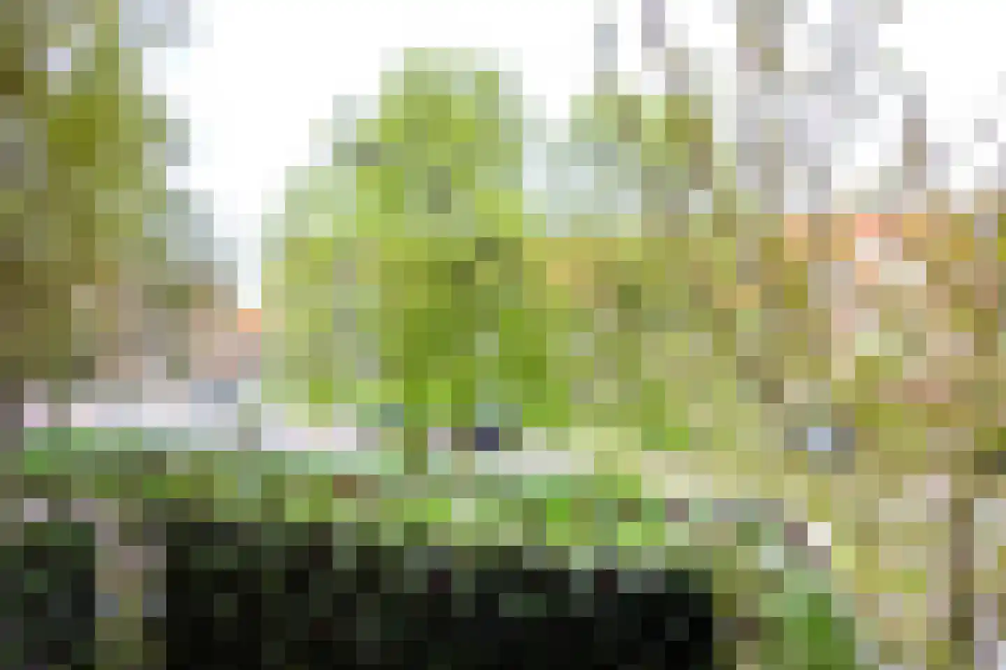 Eksterlaan 124 Haarlem thumbnail 21