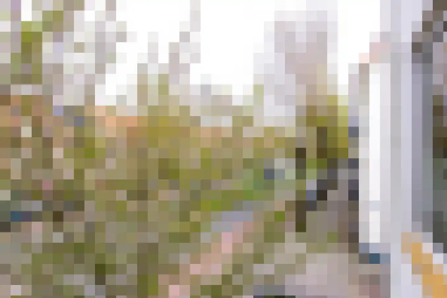 Eksterlaan 124 Haarlem thumbnail 23