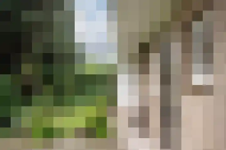 Eksterlaan 145 Haarlem thumbnail 21