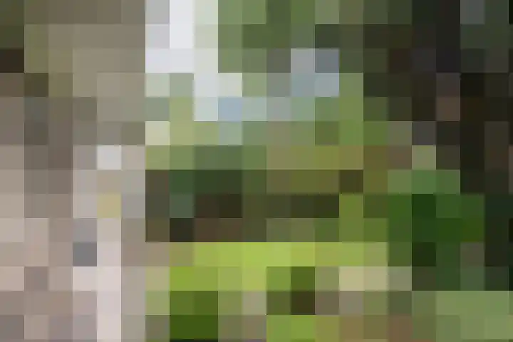 Eksterlaan 145 Haarlem thumbnail 23