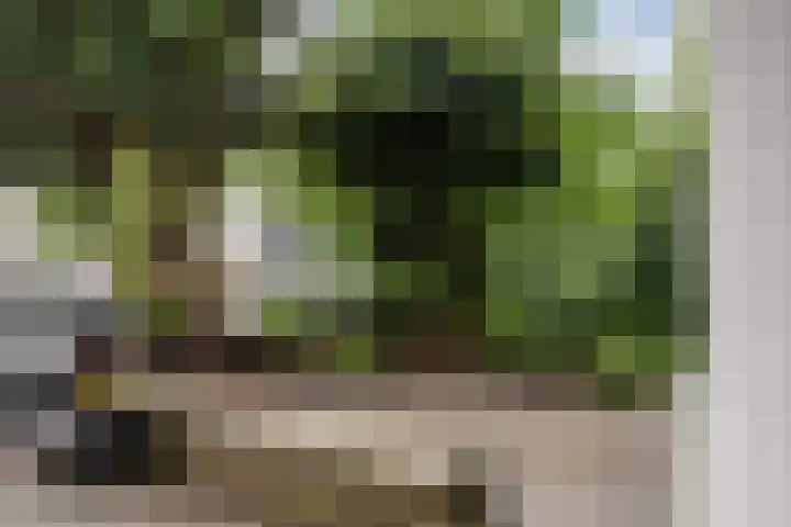 Eksterlaan 145 Haarlem thumbnail 32