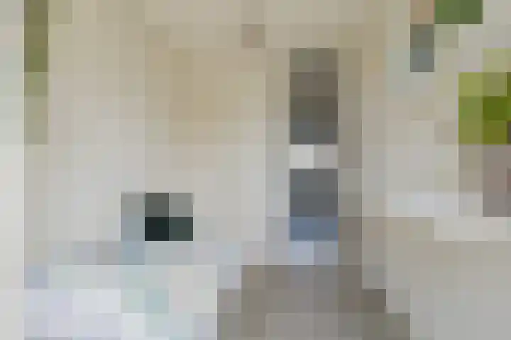 Eksterlaan 148 Haarlem thumbnail 19