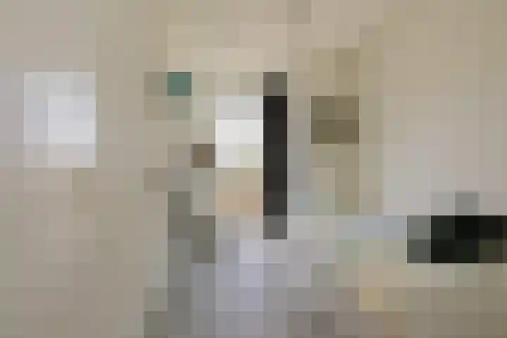 Eksterlaan 148 Haarlem thumbnail 20