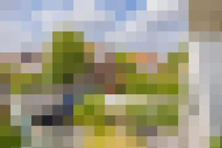 Eksterlaan 148 Haarlem thumbnail 23