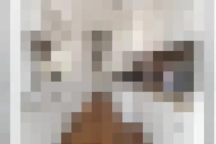 Eksterlaan 149 Haarlem thumbnail 13