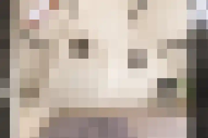 Eksterlaan 149 Haarlem thumbnail 28