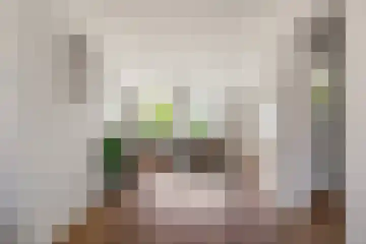 Eksterlaan 149 Haarlem thumbnail 9