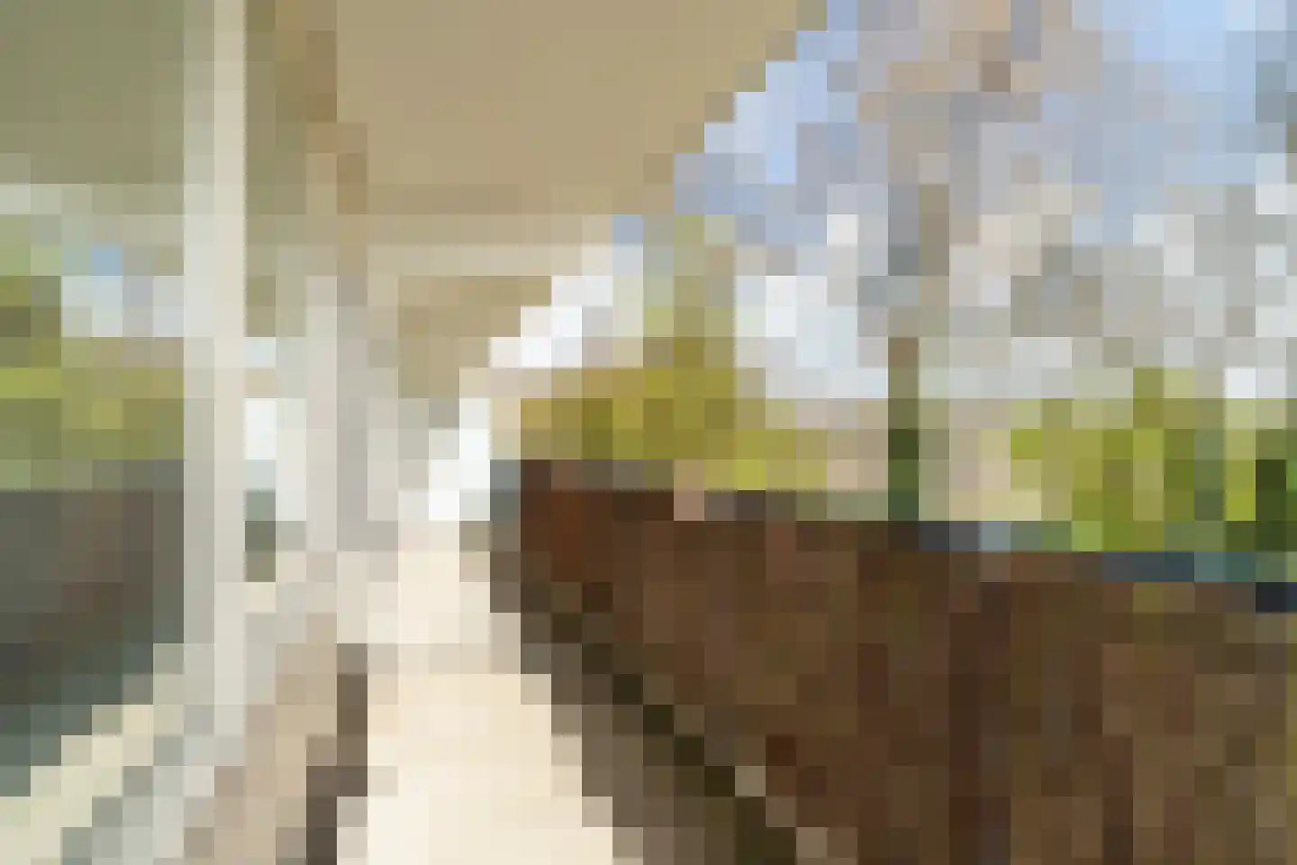 Eksterlaan 166 Vlaardingen thumbnail 25