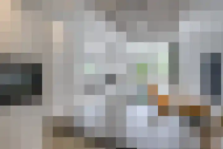 Eksterlaan 21 Leidschendam thumbnail 11