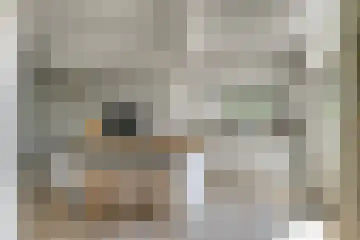 Eksterlaan 21 Leidschendam thumbnail 4