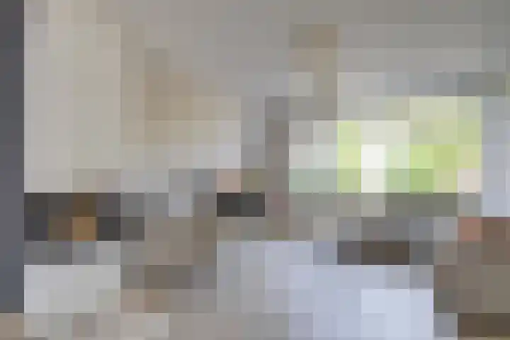 Eksterlaan 21 Leidschendam thumbnail 8