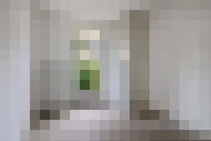 Eksterlaan 212 Haarlem thumbnail 20