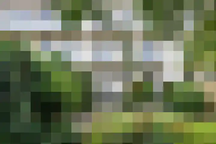 Eksterlaan 212 Haarlem thumbnail 21