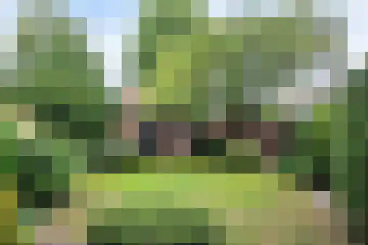 Eksterlaan 212 Haarlem thumbnail 22