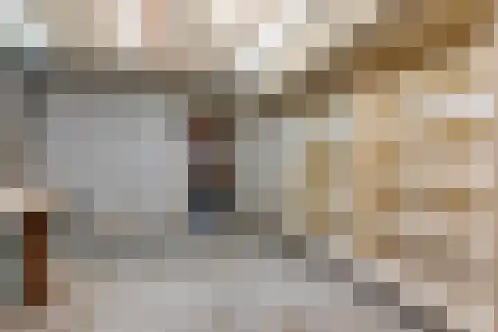 Eksterlaan 212 Haarlem thumbnail 25