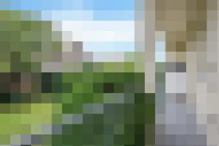 Eksterlaan 212 Haarlem thumbnail 5