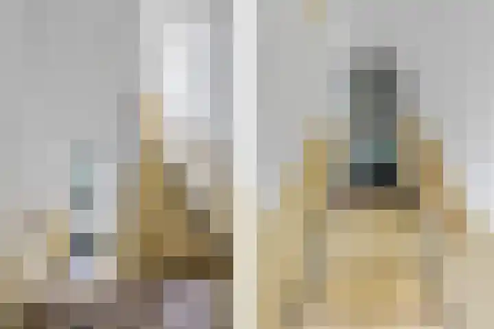Eksterlaan 212 Haarlem thumbnail 7