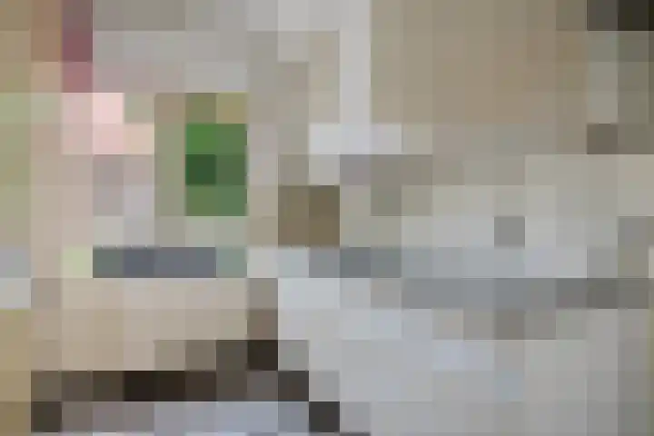 Eksterlaan 212 Haarlem thumbnail 9