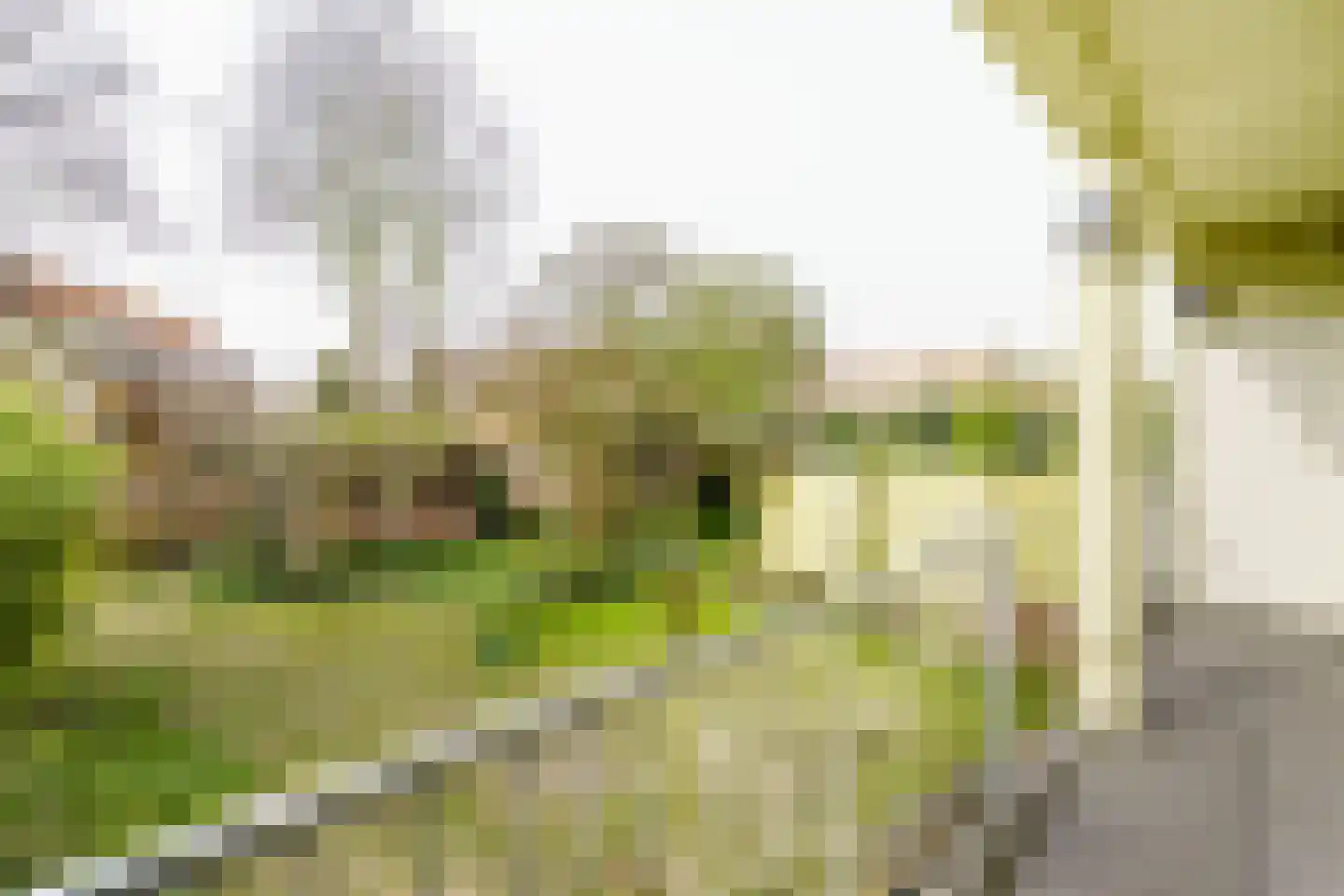 Eksterlaan 218 Haarlem thumbnail 18